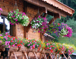 Chalet Fleuri Les Alpes Du Leman Haute Savoie France Www Alpesduleman Com Floral Wreath Petunias Plants