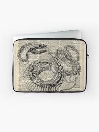 boa snake skeleton ink and pen anatomy chart vintage dictionary art laptop sleeve