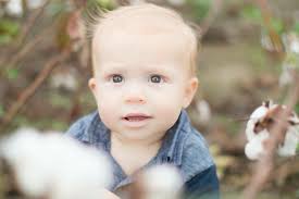 Kendal Lowry Photography