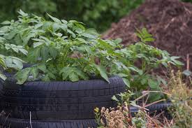 Weitere ideen zu garten, garten ideen, upcycling. Upcycling Kreative Ideen Fur Den Garten So Muss Das
