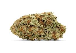 Lifter Cbd 2020 Strain Review And Breakdown