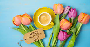 Check spelling or type a new query. 11 Places To Get The Best Prices On Mother S Day Flowers Clark Deals