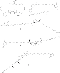 Image result for Uvaria schweinfurthii