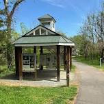 Guided Walk: Summertime in the Forest at Ivy Creek