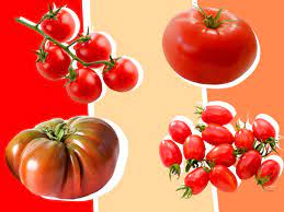 The results of our survey resulted in the top 10 favorite heirloom tomatoes. The Difference Between Heirloom Cherry Grape And Other Tomatoes Eater