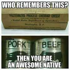 Government Cheese Government Cheese Remember Old Things
