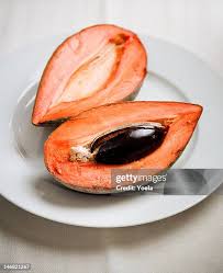 Image result for Mammea americana