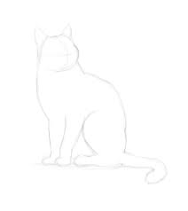 Voir plus d'idées sur le thème dessin chat, dessin, illustration de chat. Comment Dessiner Un Chat Dessindigo