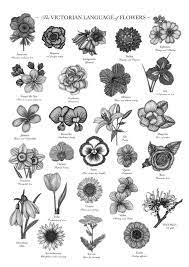 Victorian Language Of Flowers Print A To Z Of Flowers Flower Alphabet Floriography Floral Print Victorian Flower Meanings Birth Flower Tattoos Flower Alphabet Victorian Flowers