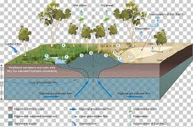 Check spelling or type a new query. Wetland Groundwater Dependent Ecosystems Aquifer Water Resources Png Clipart Aquatic Ecosystem Aquifer Biome Diagram Ecosystem Free