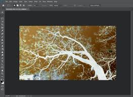 Turned out to be quite simple actually: How To Invert Colors Of An Image In Photoshop In 3 Steps