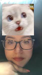 Marissa Steward (@marissabraun)