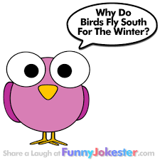 Why Do Birds Fly South For The Winter Joke Funny Bird Joke New Jokes For Kids Animal Jokes Funny Birds Jokes For Kids