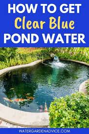 This process quickly cleans cloudy water and leaves your pond cleaner and clearer. How To Get Clear Blue Pond Water Fish Pond Gardens Pond Maintenance Water Pond