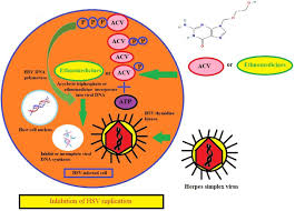 Image result for Limbrel