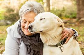 We did not find results for: Assistance With Pet Care True Care Health Services 855 770 8783 Hospice Home Health Caregiving Palliative Care