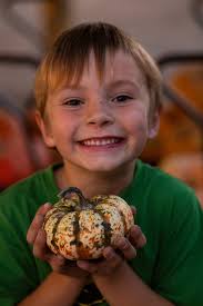 Grass Roots Farms Pumpkin Patch