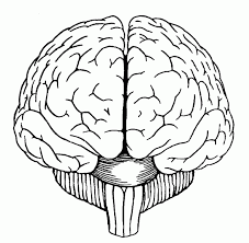Human brain coloring pages are a fun way for kids of all ages to develop creativity, focus, motor skills and color recognition. Cartoon Brain Coloring Page Bmo Show