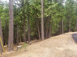 Love god, love people, make disciples. Pollock Pines Real Estate Pollock Pines Ca Homes For Sale Zillow