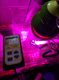 With over 5,500 aquarium products we have everything needed for both saltwater and freshwater aquariums. Budget Refugium Light Page 2 Reef2reef Saltwater And Reef Aquarium Forum