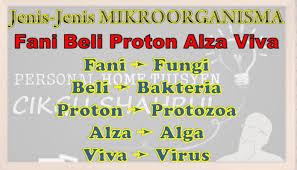 You can do the exercises online or download the worksheet as pdf. Sains Kertas 2 Upsr Topik Mikroorganisma Cmn Academy Online Learning Platform