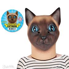 Gorgeous siamese kittens for sale! Siamese Cat Mask Archie Mcphee