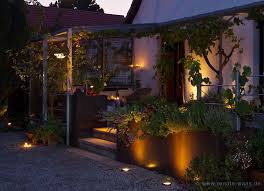 Romantische Garten Wir Hatten Das Unglaubliche Gluck Einen Alten Weinstock Erstehen Zu Beleuchtung Garten Gartengestaltung Garten Design
