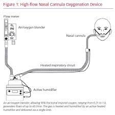 Cannulae with smaller prongs intended for infant or neonatal use can carry less than one litre per minute. High Flow Nasal Cannula Oxygenation Revisited In Covid 19 Cfr Journal