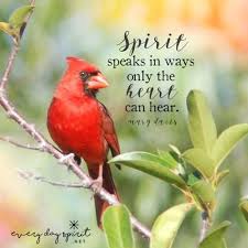  Red Bird Quotes Signs 28 Ideas Red Bird Tattoos Bird Quotes Bird Pictures