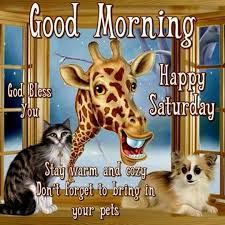 Cute Animals Good Morning Saturday Quote Saturday Morning Greetings Good Morning Saturday Cute Animals