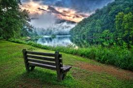 I have been camping in this park for 28 years i love port crescent state park my children are all grown but i return myself every year. Cook Forest State Park America S Best Old Growth Forest Visit Pa Great Outdoors