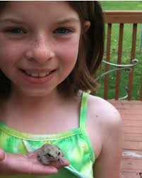 California Baptist University