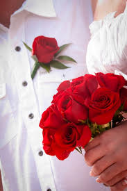 صور ورود عن الحب صور ورد وزهور Rose Flower Images