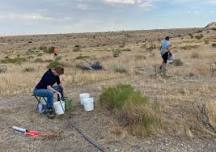 VOLUNTEER: Native Plant Watering & Weeding