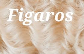 Figaros updated their cover photo.