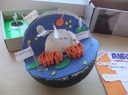 We did not find results for: Dixons Cottingley Academy On Twitter Year 7 Students Were Asked To Make Amp Label A 3d Model Of A Plant Animal Cell Well Done Al Amin Samar Harris Amp Zakria Fantastic Work Https T Co Ougprkxj5l