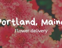 Check spelling or type a new query. The 8 Best Options For Flower Delivery In Ocala Florida 2021