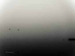 Miel J On Instagram A Foggy Start To The Weekend Sometimes We Need The Fog To Remind Ourselves That All O Foggy Fog Instagram
