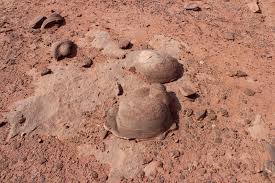 Check spelling or type a new query. Gjhikes Com Navajo Dinosaur Trackway