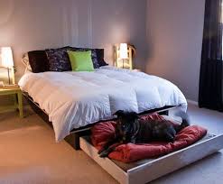 Diy Platform Bed With A Roll Out Dog Bed Homestead Survival Trundle Beds Diy Diy Platform Bed Bed