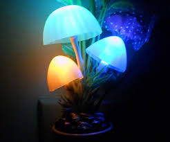 Glowing Mushroom Night Light Glowing Mushrooms Night Light Stuffed Mushrooms