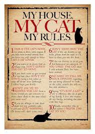 Via Mad Old Cat Lady On Etsy Old Cats Crazy Cats Cats