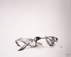 Adonna Khare Penguin Butterfly Animal Drawings The Drawing Center Beach Art Museum