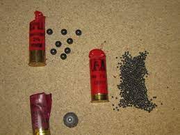 Don't Use Bird Shot for Self Defense | Active Response Training