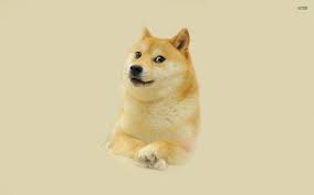 Find and download doge background hd on hipwallpaper. Doge Da Dog Official Doge Website