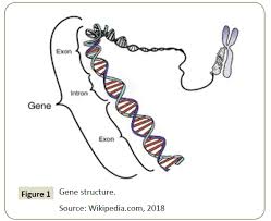 It has 180,000 miles on it and still preforms/runs beautifully. The Genetic Research Methods And Its Role In Aquaculture On Indonesia Insight Medical Publishing