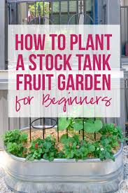 All of our galvanized steel stock tanks are american made. How To Plant An Easy Beginner Stock Tank Fruit Garden Happily Ever After Etc