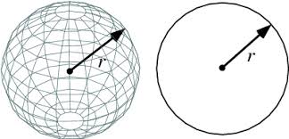 Image result for Radius