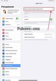 Cara Mengatasi iPad Tidak Bisa Gambar Pakai Jari | PUKEVA