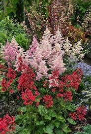 Here is a general list of the types of flower bulbs that they do not. 170 Deer Resistant Plants Ideas Deer Resistant Plants Plants Perennials
